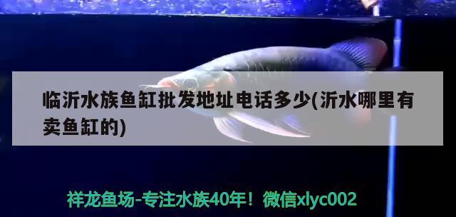 臨沂水族魚(yú)缸批發(fā)地址電話(huà)多少(沂水哪里有賣(mài)魚(yú)缸的) 水族品牌