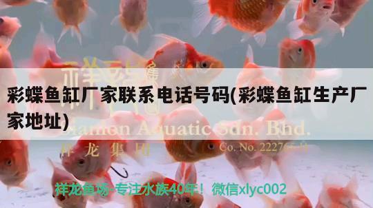 彩蝶魚缸廠家聯(lián)系電話號碼(彩蝶魚缸生產(chǎn)廠家地址)