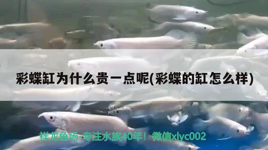 蘭州城關(guān)區(qū)雁灘花魚市場于長江水族店 全國水族館企業(yè)名錄 第2張