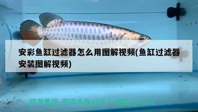 安彩魚缸過濾器怎么用圖解視頻(魚缸過濾器安裝圖解視頻) 帝王血鉆