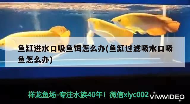 湖州魚缸哪里有賣的啊電話多少，家里有以前的大缸，想在里面種藕。應(yīng)該怎么種