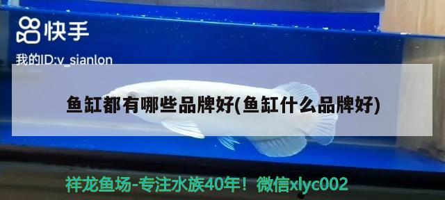 魚缸都有哪些品牌好(魚缸什么品牌好) 熱帶魚魚苗批發(fā)