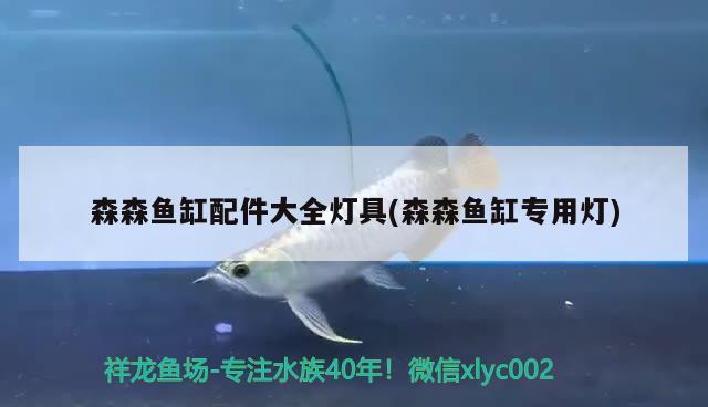 森森魚(yú)缸配件大全燈具(森森魚(yú)缸專用燈) 狗仔招財(cái)貓魚(yú)