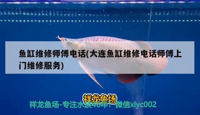 魚(yú)缸加普洱茶好嗎圖片：魚(yú)缸加普洱茶好嗎圖片大全