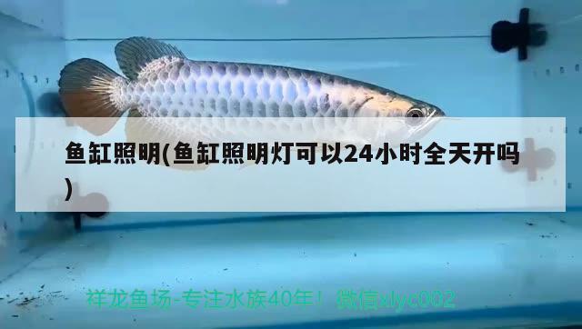 金花羅漢多久換水，羅漢魚什么品系好養(yǎng) 羅漢魚 第1張