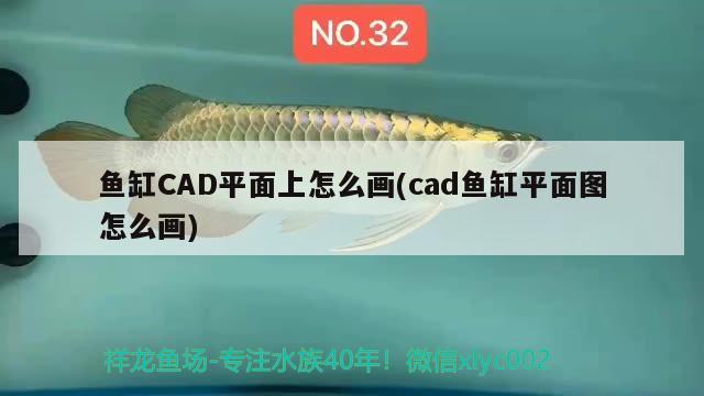 魚缸CAD平面上怎么畫(cad魚缸平面圖怎么畫)