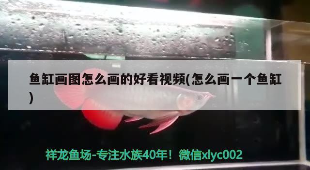 龍魚老三樣是什么生肖動物：老三樣治療龍魚水霉