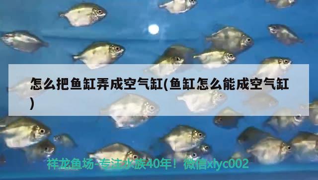 怎么把魚缸弄成空氣缸(魚缸怎么能成空氣缸)