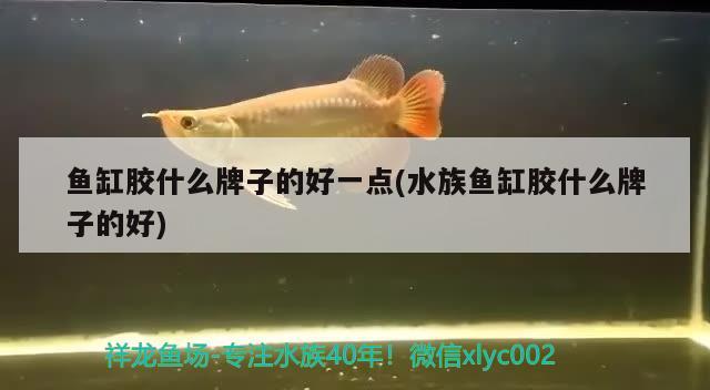 鄭州哪里批發(fā)魚(yú)缸最便宜又好：河南魚(yú)缸廠家哪家物美價(jià)廉