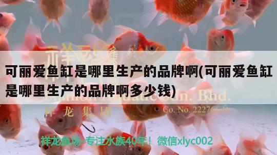 可麗愛魚缸是哪里生產的品牌啊(可麗愛魚缸是哪里生產的品牌啊多少錢) 觀賞魚市場