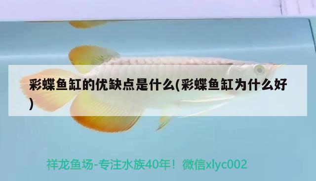 果洛藏族自治州觀賞魚市場1歲8個月