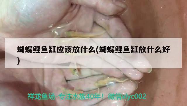 寧波水族批發(fā)市場在哪里啊多少錢一個(gè)（寧波有幾個(gè)水產(chǎn)批發(fā)市場）