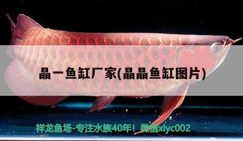 魚缸過濾器使用方法(魚缸過濾器怎樣使用)