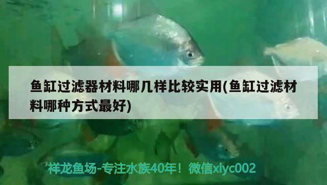 魚缸過濾器材料哪幾樣比較實(shí)用(魚缸過濾材料哪種方式最好)