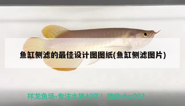 魚缸側(cè)濾的最佳設(shè)計(jì)圖圖紙(魚缸側(cè)濾圖片)