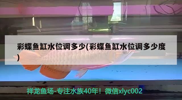 冷水淡水觀賞魚(yú)種類(lèi)大全圖片 冷水淡水觀賞魚(yú)排行榜