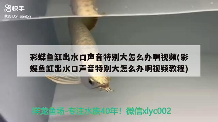 彩蝶魚缸出水口聲音特別大怎么辦啊視頻(彩蝶魚缸出水口聲音特別大怎么辦啊視頻教程) 觀賞魚企業(yè)目錄