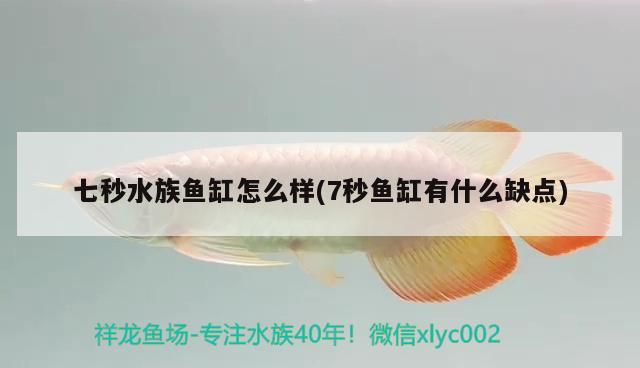 七秒水族魚缸怎么樣(7秒魚缸有什么缺點) 委內(nèi)瑞拉奧里諾三間魚