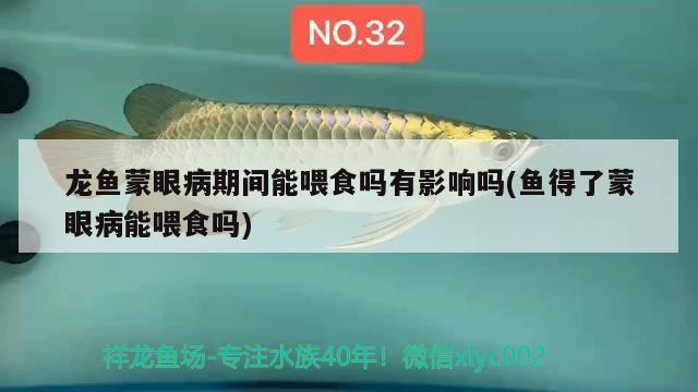 龍魚蒙眼病期間能喂食嗎有影響嗎(魚得了蒙眼病能喂食嗎) 黑桃A魚苗