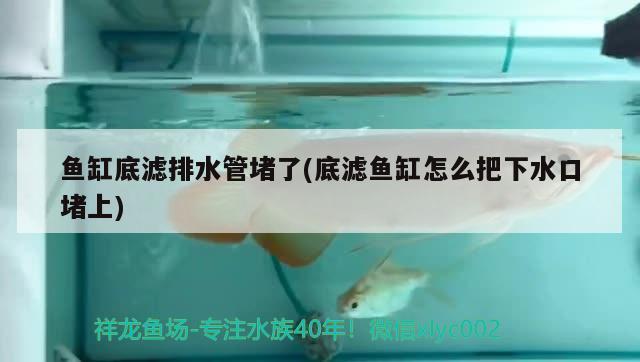 魚缸底濾排水管堵了(底濾魚缸怎么把下水口堵上)