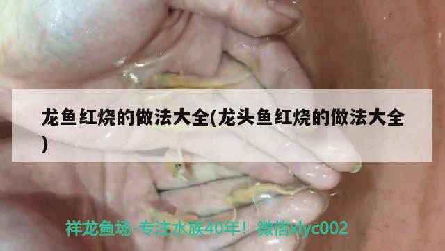 彩蝶魚缸火鳥系列價格圖片及價格(彩蝶魚缸哪里生產(chǎn)的) 龍魚專用燈