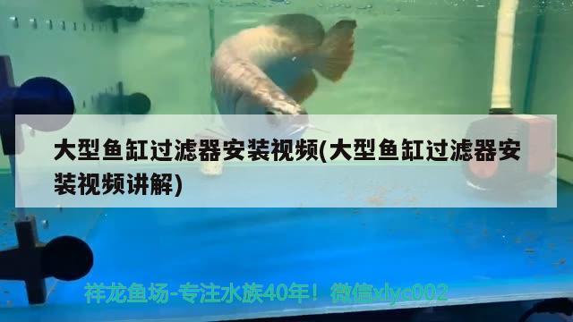 大型魚缸過濾器安裝視頻(大型魚缸過濾器安裝視頻講解)