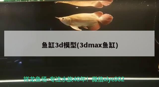 南通魚缸定制廠家地址在哪里呀（南通哪里有賣缸的） 非洲象鼻魚