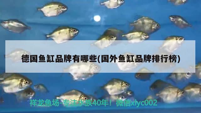 德國魚缸品牌有哪些(國外魚缸品牌排行榜)