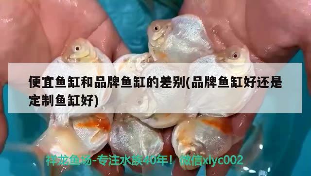 彩蝶缸怎么調(diào)節(jié)水位(彩蝶魚缸水位調(diào)節(jié))