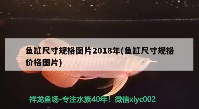 幻彩紅寶石雷龍?jiān)趺窗l(fā)色，雷龍?jiān)趺答B(yǎng)容易發(fā)色 養(yǎng)魚的好處 第1張