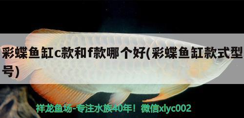 彩蝶魚(yú)缸c款和f款哪個(gè)好(彩蝶魚(yú)缸款式型號(hào))