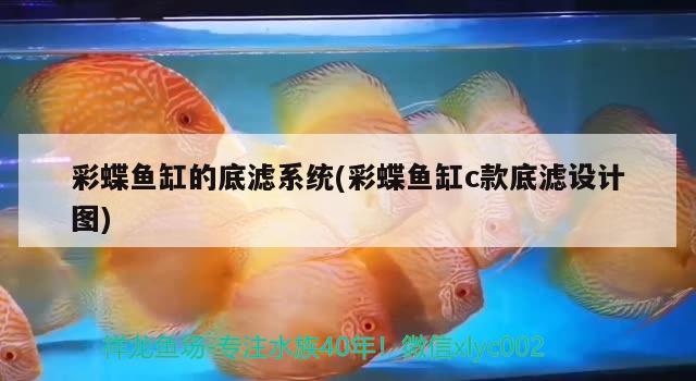 彩蝶魚缸的底濾系統(tǒng)(彩蝶魚缸c款底濾設(shè)計(jì)圖) 金龍魚糧