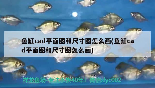 魚缸cad平面圖和尺寸圖怎么畫(魚缸cad平面圖和尺寸圖怎么畫)