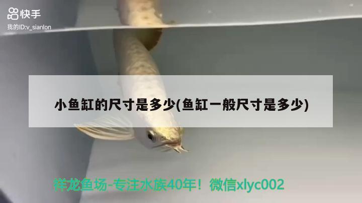 莆田二手魚缸出售：莆田二手魚缸出售最新信息 觀賞魚市場 第1張