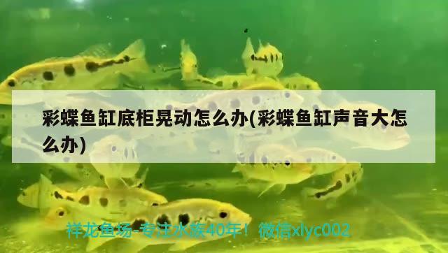 彩蝶魚(yú)缸底柜晃動(dòng)怎么辦(彩蝶魚(yú)缸聲音大怎么辦) 黑水素