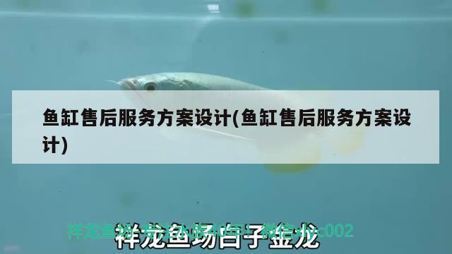 魚(yú)缸售后服務(wù)方案設(shè)計(jì)(魚(yú)缸售后服務(wù)方案設(shè)計(jì))