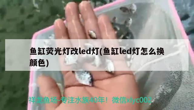 魚缸熒光燈改led燈(魚缸led燈怎么換顏色) 委內(nèi)瑞拉奧里諾三間魚