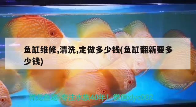 魚缸維修,清洗,定做多少錢(魚缸翻新要多少錢)