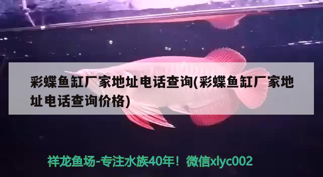 彩蝶魚缸廠家地址電話查詢(彩蝶魚缸廠家地址電話查詢價(jià)格)