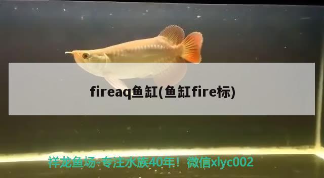 fireaq魚缸(魚缸fire標(biāo))