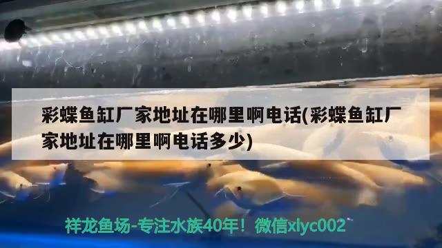 彩蝶魚缸廠家地址在哪里啊電話(彩蝶魚缸廠家地址在哪里啊電話多少) 名貴錦鯉魚 第2張