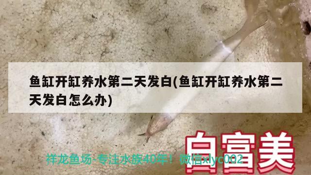 家庭魚(yú)缸怎么安裝圖解(家用魚(yú)缸安裝圖解) 白化火箭