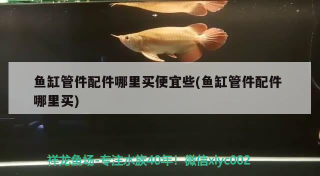 魚缸管件配件哪里買便宜些(魚缸管件配件哪里買)