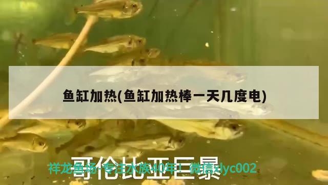 魚缸加熱(魚缸加熱棒一天幾度電)