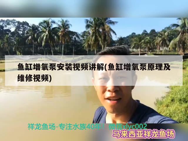 魚缸增氧泵安裝視頻講解(魚缸增氧泵原理及維修視頻) 巴西亞魚