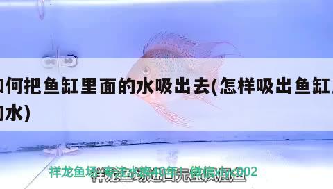 如何把魚(yú)缸里面的水吸出去(怎樣吸出魚(yú)缸里的水) 委內(nèi)瑞拉奧里諾三間魚(yú)苗