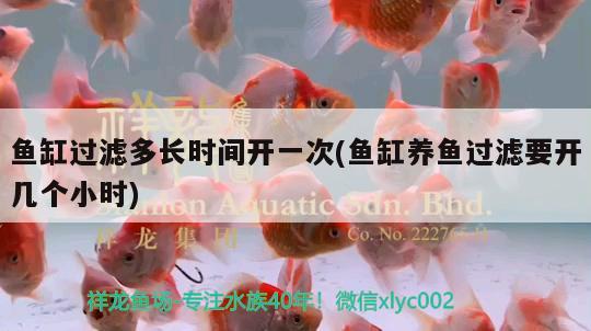 底濾魚缸使用方法視頻(魚缸底濾過濾器制作視頻)