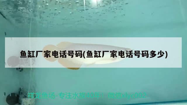 魚缸廠家電話號碼(魚缸廠家電話號碼多少)