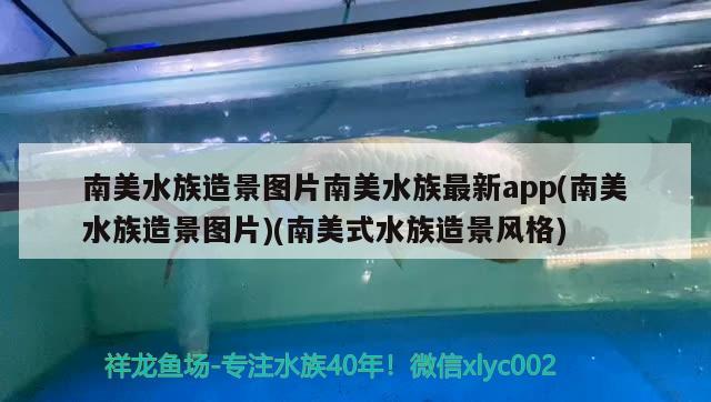 南美水族造景圖片南美水族最新app(南美水族造景圖片)(南美式水族造景風(fēng)格) 羅漢魚(yú)