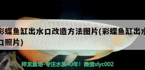 彩蝶魚缸出水口改造方法圖片(彩蝶魚缸出水口照片) 委內(nèi)瑞拉奧里諾三間魚 第2張